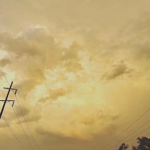 Meet your Posher, Maddie